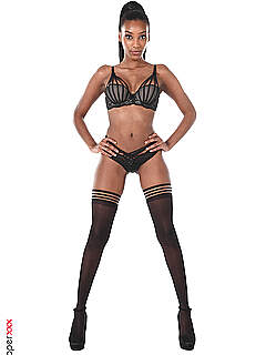 54940 leggy babes photo